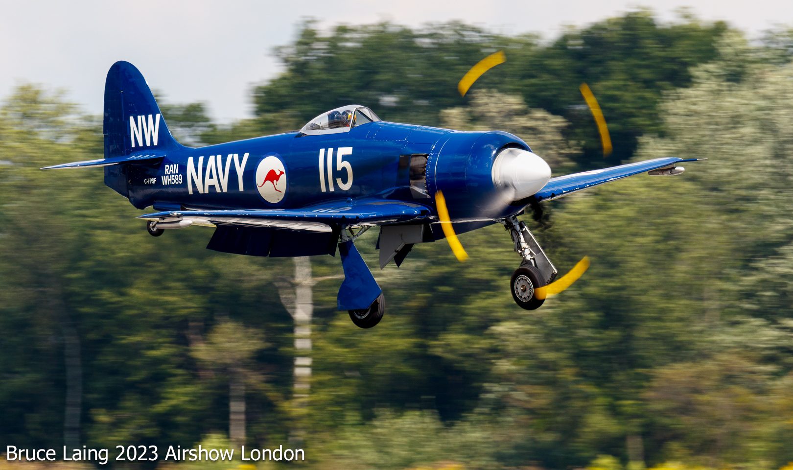 Hawker Sea Fury, Photo Courtesy of Bruce Laing