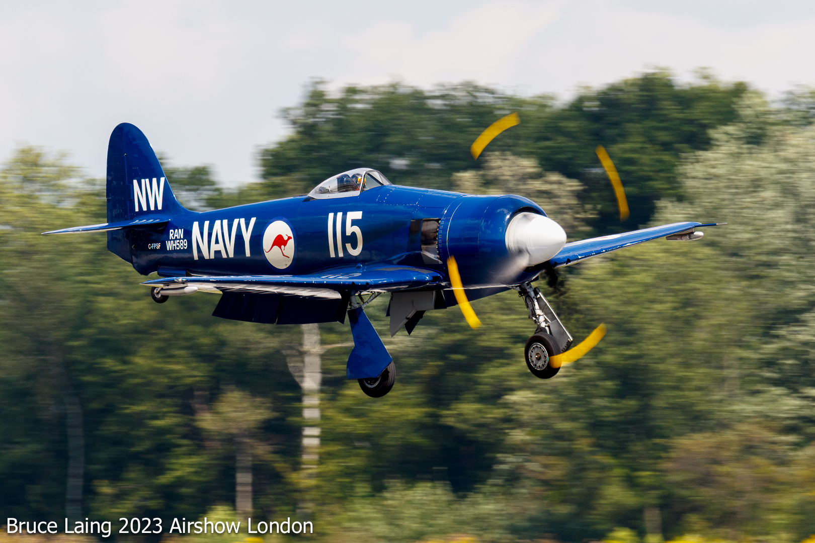 Hawker Sea Fury, Photo courtesy of Bruce Laing