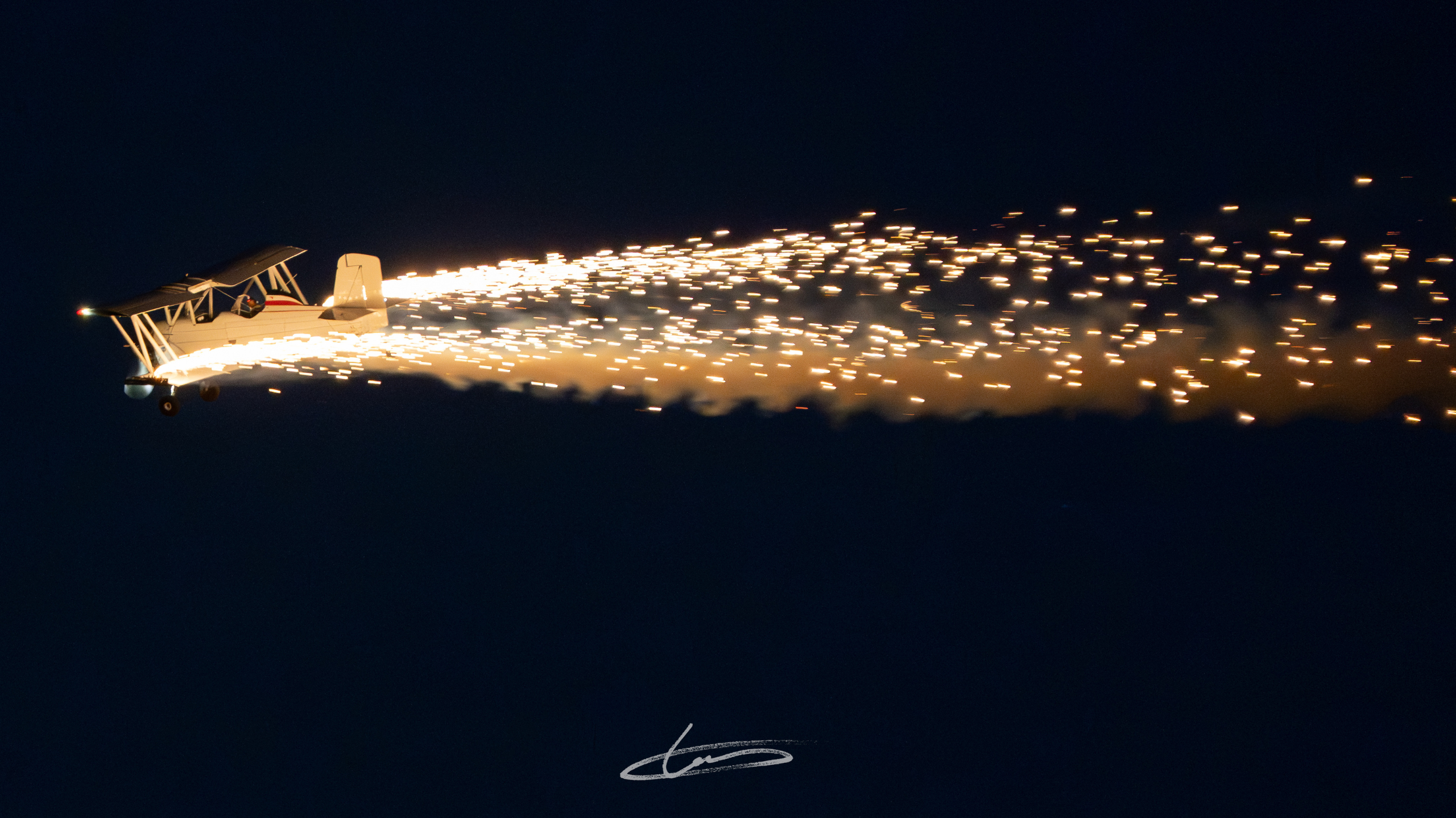 NightCat, Mike Tryggvason, London, Ontario. Tommy Le @tommyshoots.